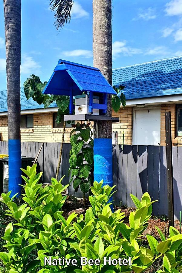 City Lights Motel Tweed Heads Extérieur photo
